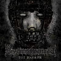 The Harrier (Limited) - Vinile LP di Hiss from the Moat