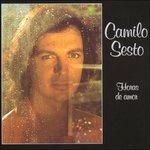 Horas De Amor - CD Audio di Camilo Sesto