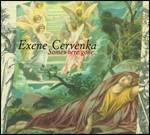 Somewhere Gone - CD Audio di Exene Cervenka