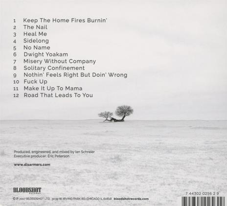 Sidelong - CD Audio di Sara Shook,Disarmers - 2