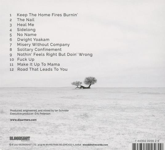 Sidelong - CD Audio di Sara Shook,Disarmers - 2