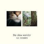 The Slow Wonder