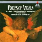 Voices of Angels - CD Audio di Nikolaus Harnoncourt,Gustav Leonhardt,Concentus Musicus Wien,Leonhardt Consort
