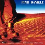 Non Calpestare I Fiori Nel Deserto (Musicassetta)