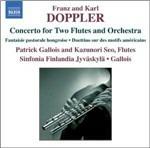 Musica per 2 flauti e orchestra