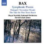 Poemi sinfonici - CD Audio di Arnold Bax