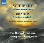 Schwanengesang