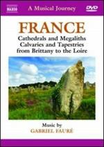 A Musical Journey. France. Cathedrals and Megaliths, Calvaries... (DVD)