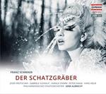 Der Schatzgräber (DVD)