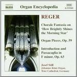 Pezzi per organo op.59 nn.7-12 - Fantasia corale op.40 n.1 - Fantasia corale op.52 n.3 - Introduzione e Passacaglia op.63 - CD Audio di Max Reger,Josef Still