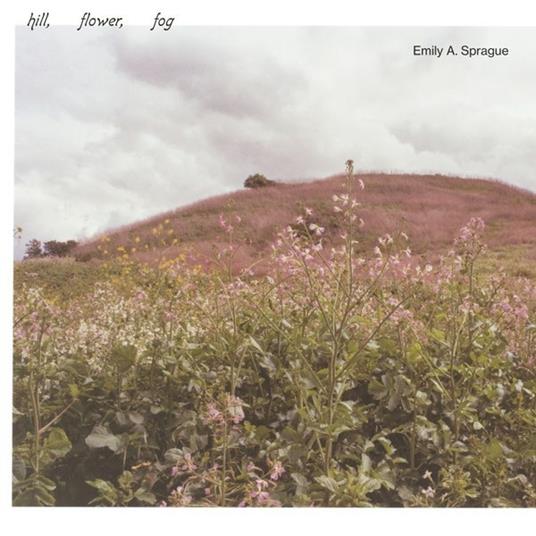 Hill, Flower, Fog - Vinile LP di Emily A. Sprague