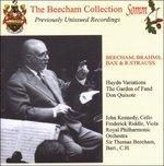 Haydn Variations-Garden O