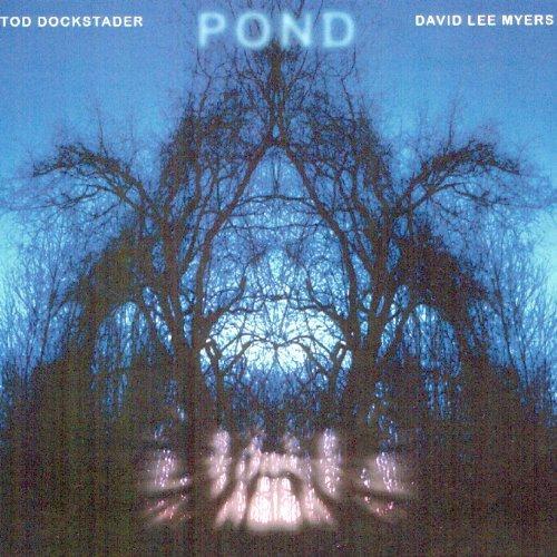 Pond - CD Audio di Tod Dockstader