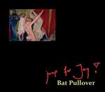 Bat Pullover