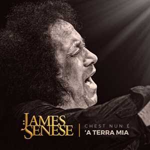 Vinile Chesta nun è 'a terra mia James Senese