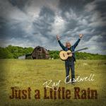 Just a Little Rain