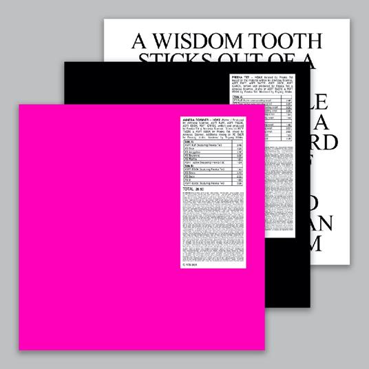 Hoax + Strobe.Rip - Vinile LP di Amnesia Scanner