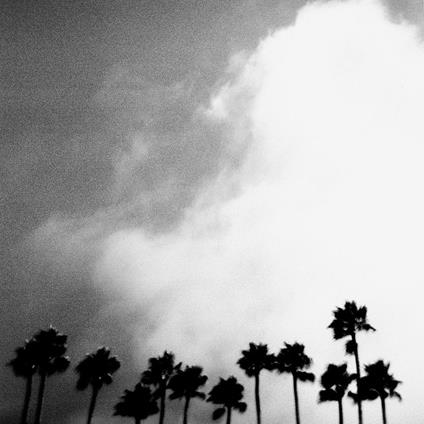 Radiation Breeze - Vinile LP di Richard Rose
