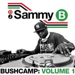 Bushcamp vol.1
