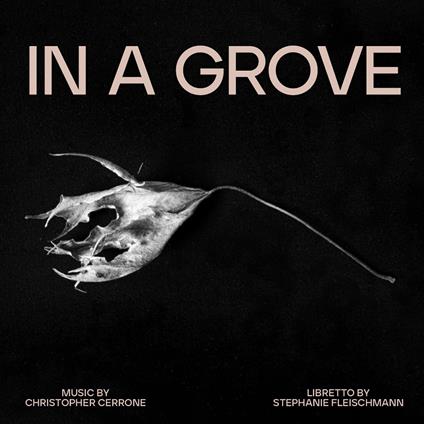 In A Grove - CD Audio di Christopher Cerrone