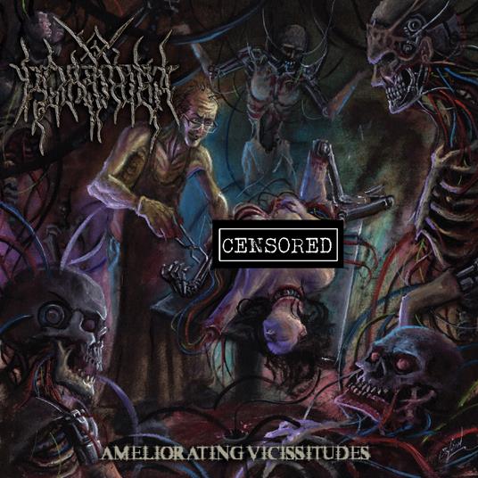 Ameliorating Vicissitudes - CD Audio di Virologist