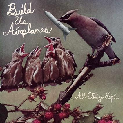 All Things Expire - Vinile LP di Build Us Airplanes