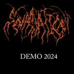 Demo 2024