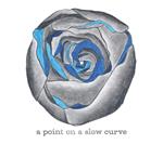 A Point on a Slow Curve