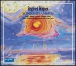 Sonnenflammen - CD Audio di Siegfried Wagner