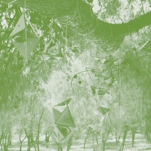 Oionos - CD Audio di Steve Roden