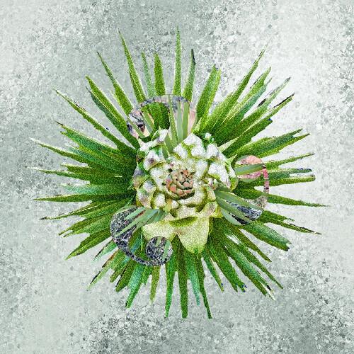 How??? (Ultra Clear Vinyl) - Vinile LP di How???