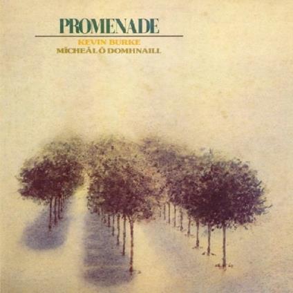 Promenade - CD Audio di Kevin Burke