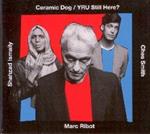 Ceramic Dog-Yru Still Here?