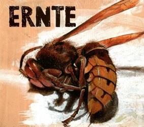 Ernte - CD Audio di Ernte