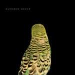 Armchair Apocrypha - Vinile LP di Andrew Bird
