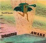 Thunderstroke - CD Audio di Beaten Awake