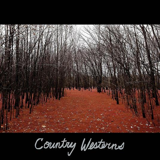 Country Westerns - Vinile LP di Country Westerns