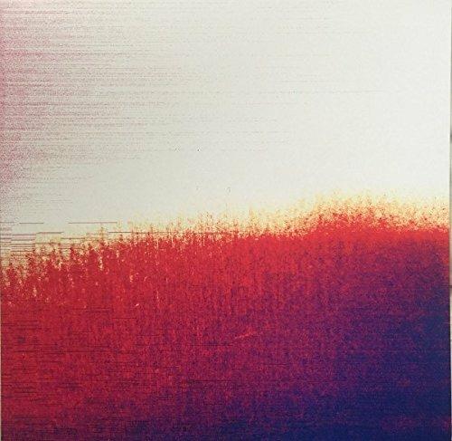 Versatile Ambience - Vinile LP di Jeph Jerman,Tim Barnes
