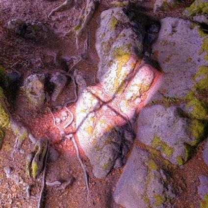 Lake From The Louvers - Vinile LP di James Rushford