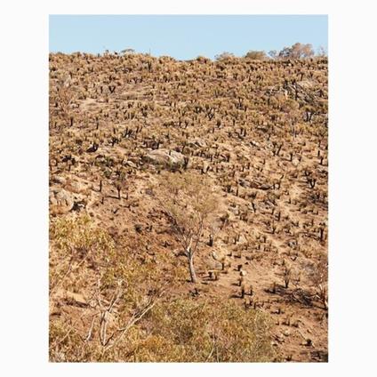 Palimpsests - Vinile LP di Andrew Pekler