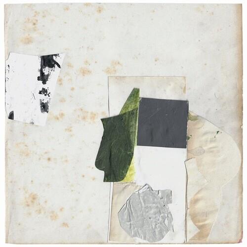 Everything Perfect Is Already Here - Vinile LP di Claire Rousay