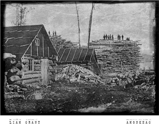 Amoskeag - Vinile LP di Liam Grant