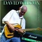 Boy in the Boat - CD Audio di David Wilcox