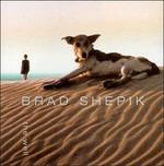The Well - CD Audio di Brad Shepik