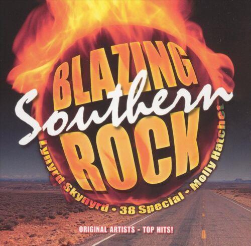 Blazing Southern Rock - CD Audio di Lynyrd Skynyrd