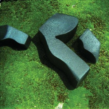 Heart Pressed Between Stones - CD Audio di Camila Fuchs