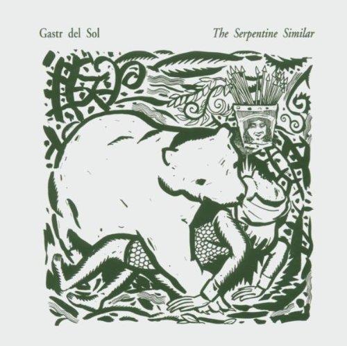 The Serpentine Similar - Vinile LP di Gastr del Sol