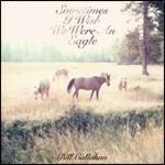 Sometimes I Wish We Were an Eagle - CD Audio di Bill Callahan