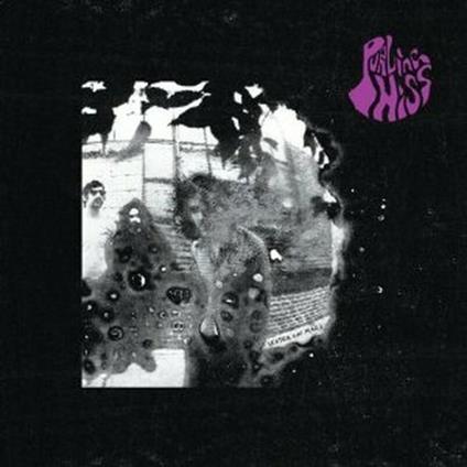 Water on Mars - Vinile LP di Purling Hiss