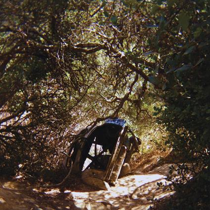 Possession - Vinile LP di Ty Segall